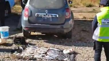 Pescaron a los truchos: decomisan 29 truchas arcoíris y equipos caseros en un control de ruta