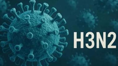 Detectan variante más transmisible de gripe en Argentina: dos de tres casos confirmados son de la Patagonia