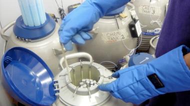 Separación sin juicio: pareja de mujeres acordó desde la cuota alimentaria hasta el futuro de sus embriones