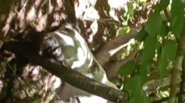 Vecinos de El Faldeo denuncian un caballo muerto que lleva días en descomposición y genera un olor insoportable