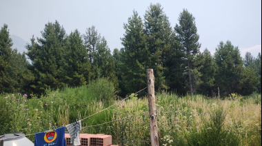 Vecinos del Alto se organizan para limpiar basura de un terreno repleto de pinos: "Alguien tiene que hacerse cargo"
