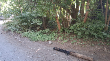 Vecinos encontraron un tronco encendido y material acelerante en una zona de Los Coihues