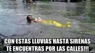 De amarillo a naranja: comprate un patito que el viernes se cae el cielo