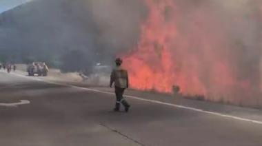 (Video) Incendio forestal en Circunvalación: el fuego cruzó la ruta y obligó a cortar el tránsito