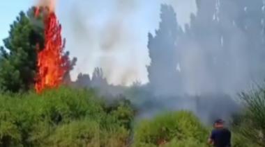 Emergencia ígnea: extinguen 13 fogones ilegales en Villa Llanquín y controlan nuevo incendio en la barda del Ñireco