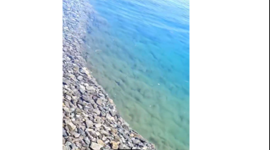 (Video) Las orillas del lago Mascardi desaparecen ante los ojos de un testigo