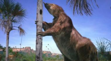 Hallaron restos de un megaterio de 16.000 años en la costa del lago Nahuel Huapi