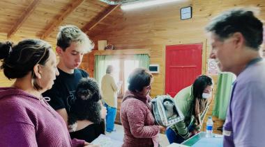 Sanidad Animal castró 112 animales en el Omega y avanza con un estudio inédito sobre brucelosis canina