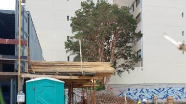 Argenway asegura que el arrayán será trasplantado dentro del mismo predio con supervisión técnica