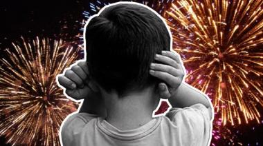 El Concejo aprobó por unanimidad la prohibición total del uso de pirotecnia