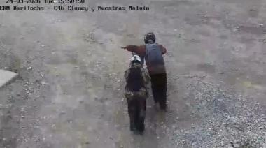 Lo atraparon las cámaras: llevaba una moto robada sin patente y con el número de cuadro adulterado