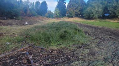 ​​​​​​​Una retroexcavadora en el corazón de la Laguna Fantasma: "el destrozo en un área intangible"