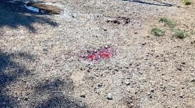 Un joven de 18 años murió apuñalado a metros del hospital Ramón Carrillo