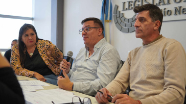 La Legislatura rionegrina avanza hacia una política carcelaria propia y más estricta que la nacional