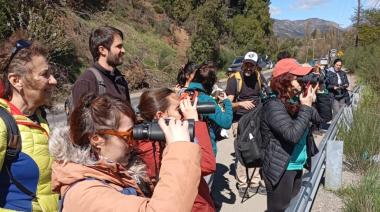 El cielo de Bariloche como nunca lo viste: el Parque Nacional se suma al Global Big Day con charlas abiertas y una salida de avistamiento