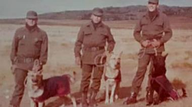 Los perros que también fueron a Malvinas