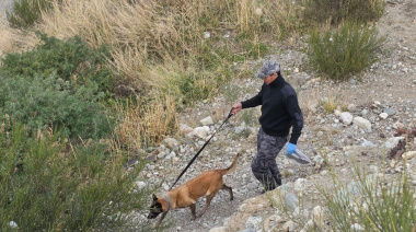 La búsqueda de Analía Corte llega a la ruta de Circunvalación: se realiza un rastrillaje en el sector del Gauchito Gil