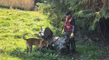 Rastrillajes en La Cascada y el kilómetro 12: el operativo para encontrar a Analía suma fuerzas y amplía los sectores
