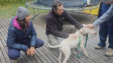 Rocky, el perro que no quería ser malo, encontró hogar