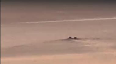 Un misterioso movimiento en el lago reavivó el mito más viejo de Bariloche