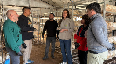 De la idea al crédito: Río Negro financió 370 proyectos productivos con más de $17.700 millones
