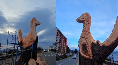 "¿Se podrá al menos respetar su muerte?": el lapidario descargo de una bióloga  por los árboles de la costanera