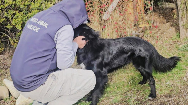 De un pasado de abandono al calor de un hogar: la nueva vida de Chimuelo