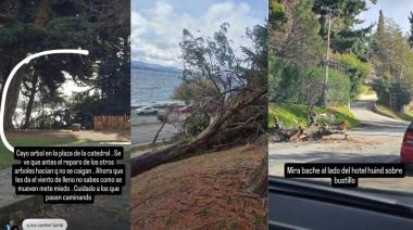 Se cayó un pino en la Costanera por el fuerte temporal de viento