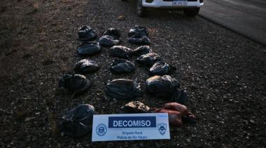Secuestran más de 100 kilos de carne vacuna que viajaba sin papeles en la Ruta 23