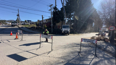 Corte total de tránsito en Beschtedt por intervención en árboles de gran porte