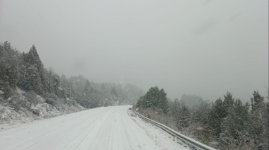 Nieva en Bariloche: prohibido circular sin cadenas y piden extremar las precauciones