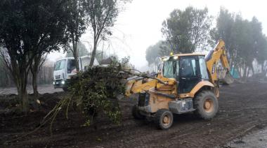 La Delegación Sur realizó tareas preventivas de limpieza en el acceso hacia la Ruta 82