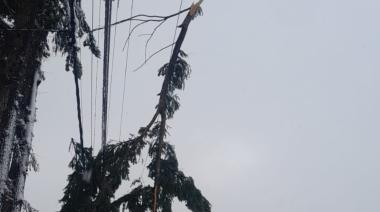 Cayó una rama sobre el tendido eléctrico y hay cortes de luz en barrios del alto