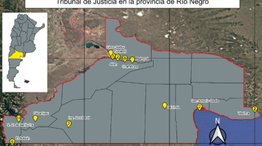 El STJ pasó de proteger el ambiente a rechazarlo: un estudio académico lo prueba con números