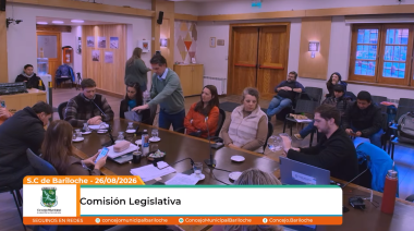 "El problema nunca fue entre artesanos": Punto Panorámico le explicó al Concejo cómo avanza su regularización