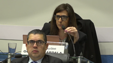 Abdala denunció que adulteraron un documento público para sacarla de Comisiones de Trabajo