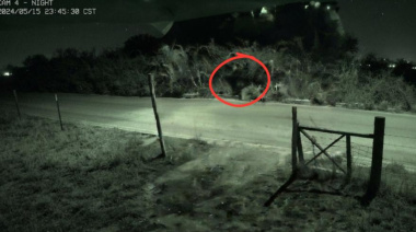 Lograron filmar el misterioso animal que recorre el Este de Bariloche