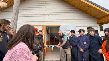 ¡Guau! Bariloche amplía el quirófano municipal de Sanidad Animal