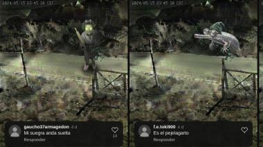 “Mi suegra anda suelta” y otras teorías sobre el bicho del Este que Bache3000 convirtió en imágenes
