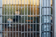 Condenan a diez años de prisión a hermanos Bonefoi por abuso sexual en el Penal 3