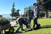 Universidad Nacional de Río Negro dona arrayanes para forestar el Centro Cívico de Bariloche