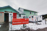 Comenzó una nueva campaña de castraciones masivas gratuitas en Bariloche