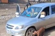 Conductora de Uber se llevó las compras de una pasajera en pleno centro de Bariloche