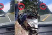 (Videos) Impunidad sobre ruedas: Ferraris sin controles pusieron en peligro a Bariloche y chocaron en la Ruta 237
