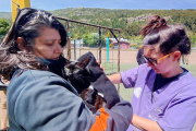 Nueva campaña antirrábica gratuita recorrerá los barrios de Bariloche