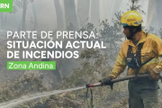 Parte diario: situación por riesgo de incendios en Río Negro