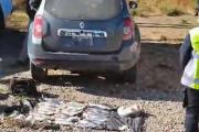 Pescaron a los truchos: decomisan 29 truchas arcoíris y equipos caseros en un control de ruta