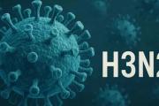 Detectan variante más transmisible de gripe en Argentina: dos de tres casos confirmados son de la Patagonia