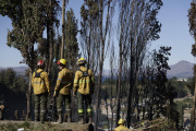 Bariloche bajo riesgo "muy alto" de incendios forestales: autoridades ratifican la prohibición total de fuego