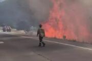 (Video) Incendio forestal en Circunvalación: el fuego cruzó la ruta y obligó a cortar el tránsito